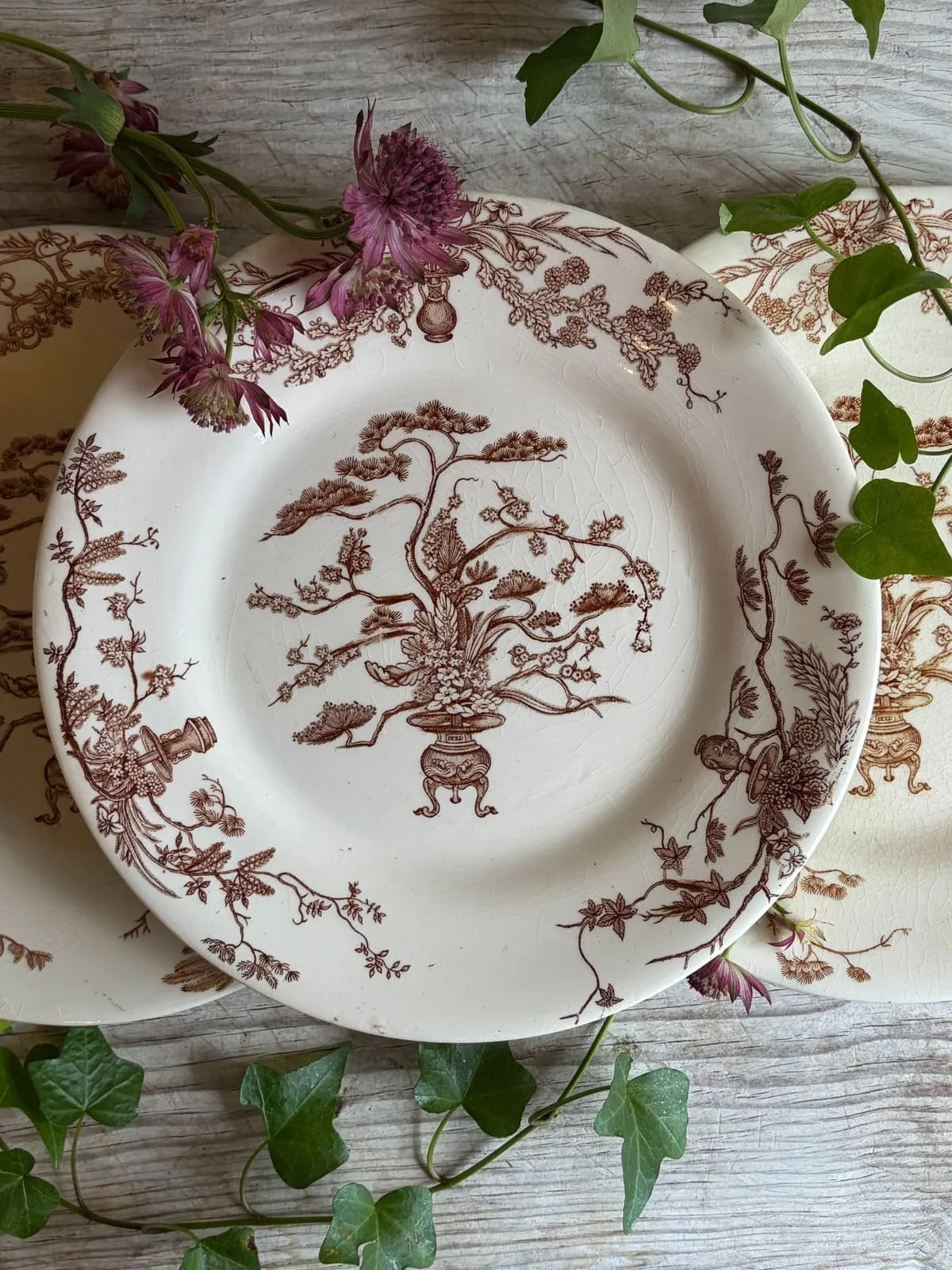 Vintage Terre de Fer French Ironstone Dinner Plates | Brown Floral